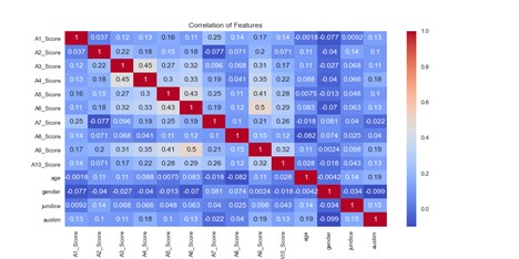 Correlation Image
