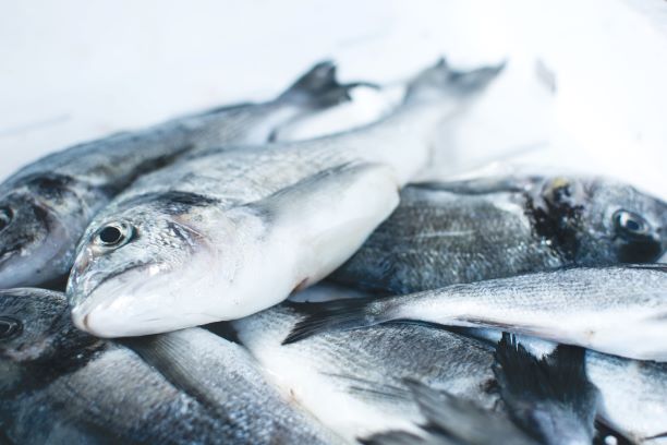 Fish image